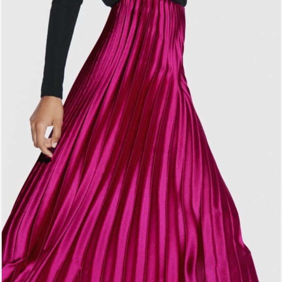 Zara Velvet Pleated Skirt - Picture 2 of 11